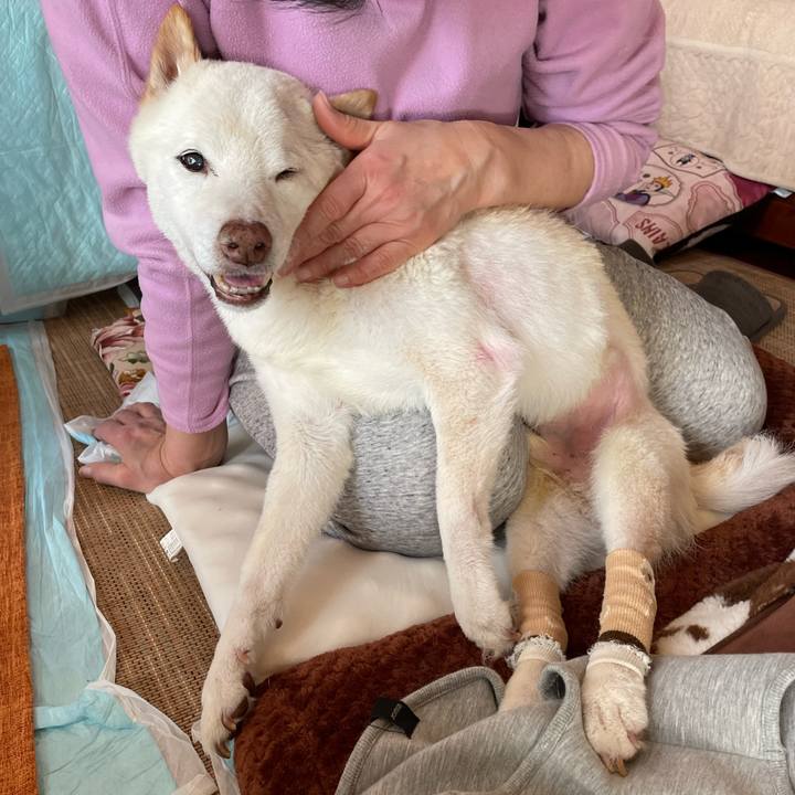 8ca7c754 31b8 4d99 bc68 cd3e6711086d 1674123446727