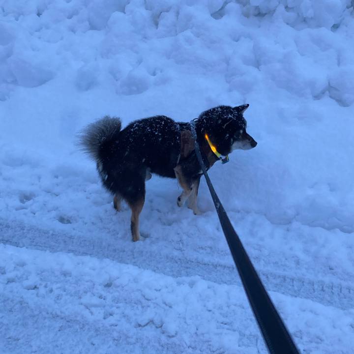 8ca7cca5 33bb 4b92 b90e 30e332322271 1671784897745