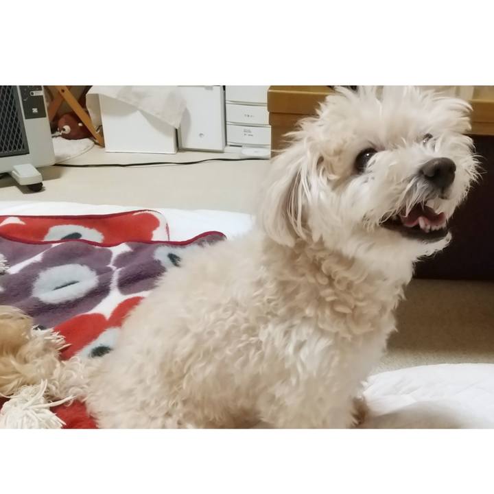 8ca7d042 86a6 411d a84b f40b9e292e52 1653482140011