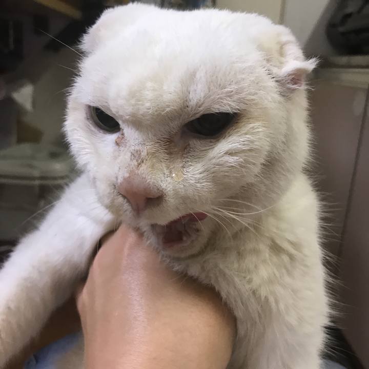 8ca7d73f c239 48ec bb02 835dc2275239 1591265389408