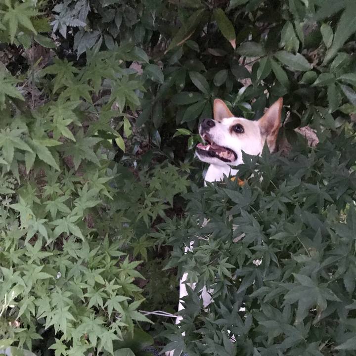 8ca7e6e4 3395 4ade 9487 a449359439ad 1564814910311