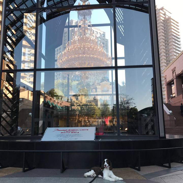 8ca7ff51 34fb 42e5 b87c af7c71128081 1509861959281