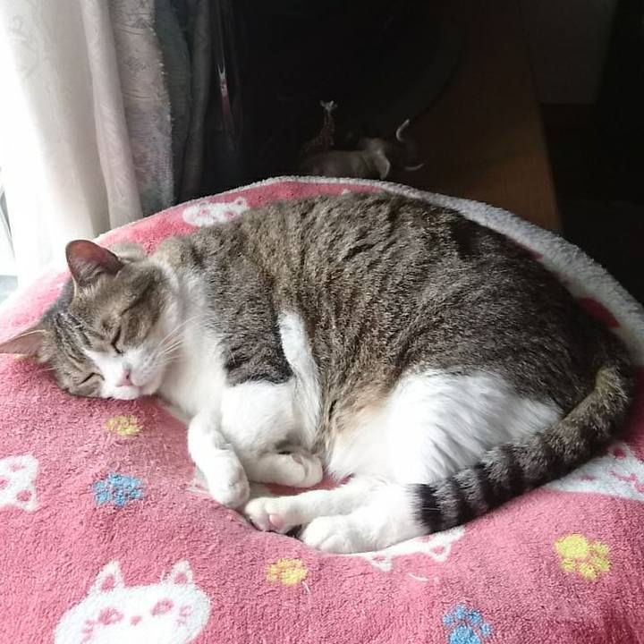 8ca80d35 5d13 41aa a471 8c19899c57bc 1559256023364