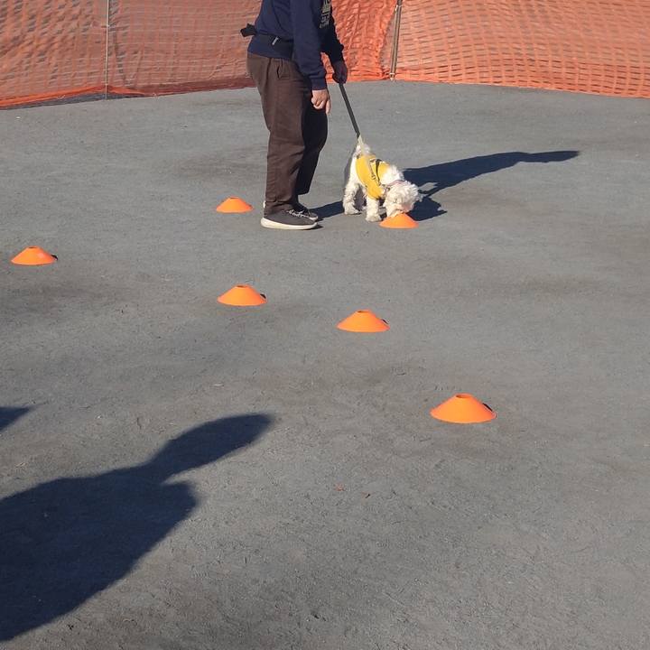 8ca812e8 a4c3 442a 8167 6d765abb7226 1702208084580