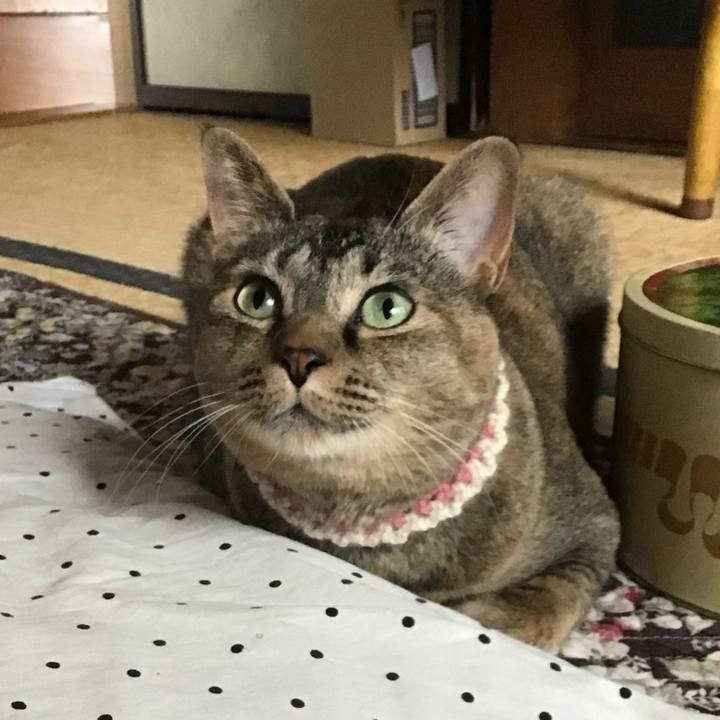 8ca845e0 7cdc 489b 9079 3ea6d23ac4a0 1655261023356