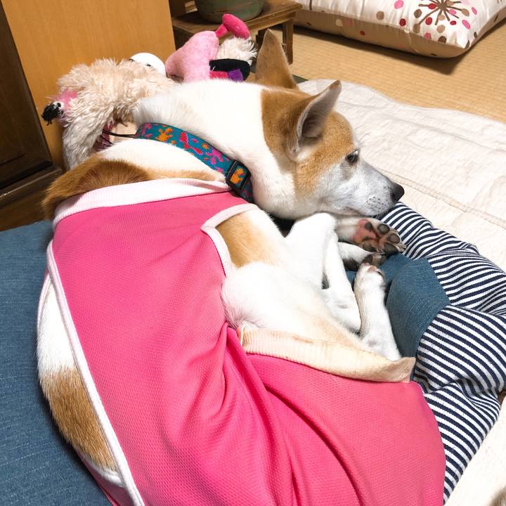 8ca8871d eb90 4bcf 982d 233db2f00dbd 1592227027115