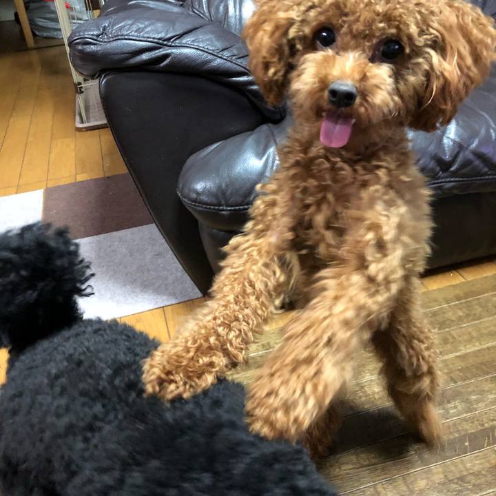 8ca88a03 7b5c 418f 82ff 8c9fc18acfa3 1508410109536