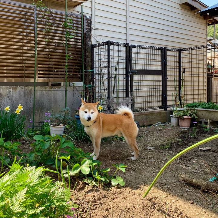 8ca88f77 a0fe 4ddd afb2 d5317c3d6a86 1650449441151