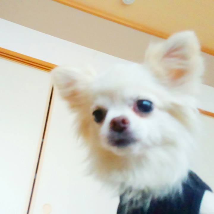 8ca8c873 48fe 4c44 ad13 920595120a7e 1524962148291