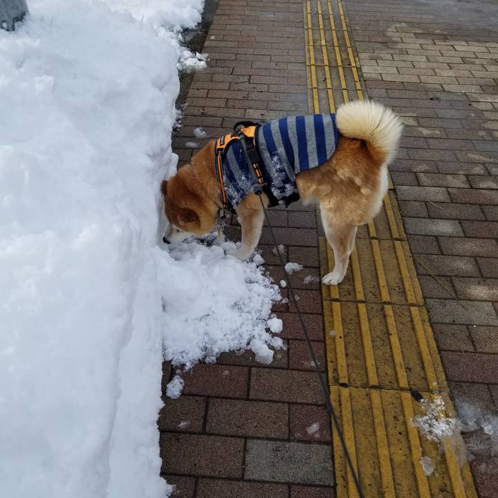 8ca91ddb cb72 4e1d 9b52 ee721564b55e 1641444900199