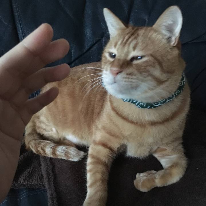 8ca96c11 83f6 46aa 84b6 82acf654a907 1546900621006