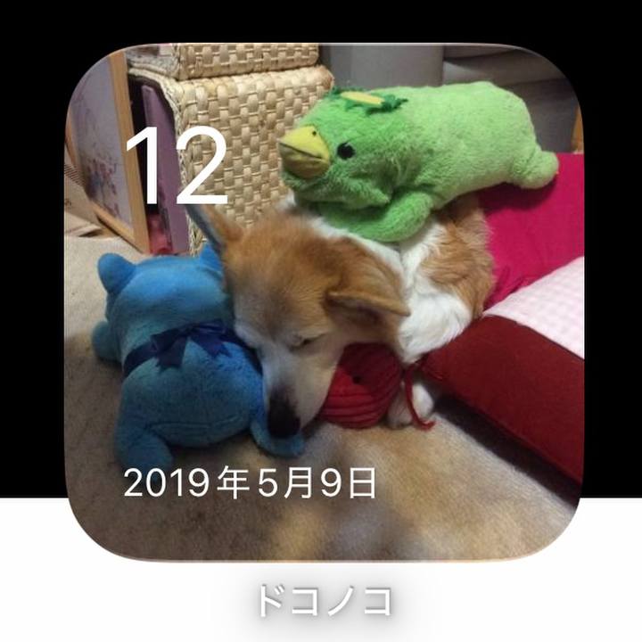 8ca99b2d ed11 42a2 a7fb c2dc5142fe34 1778556192964