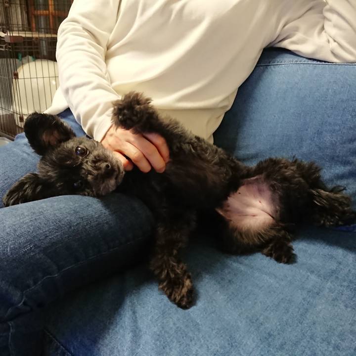 8ca99e55 d51e 4720 8709 9a01a246cb7d 1545547029146