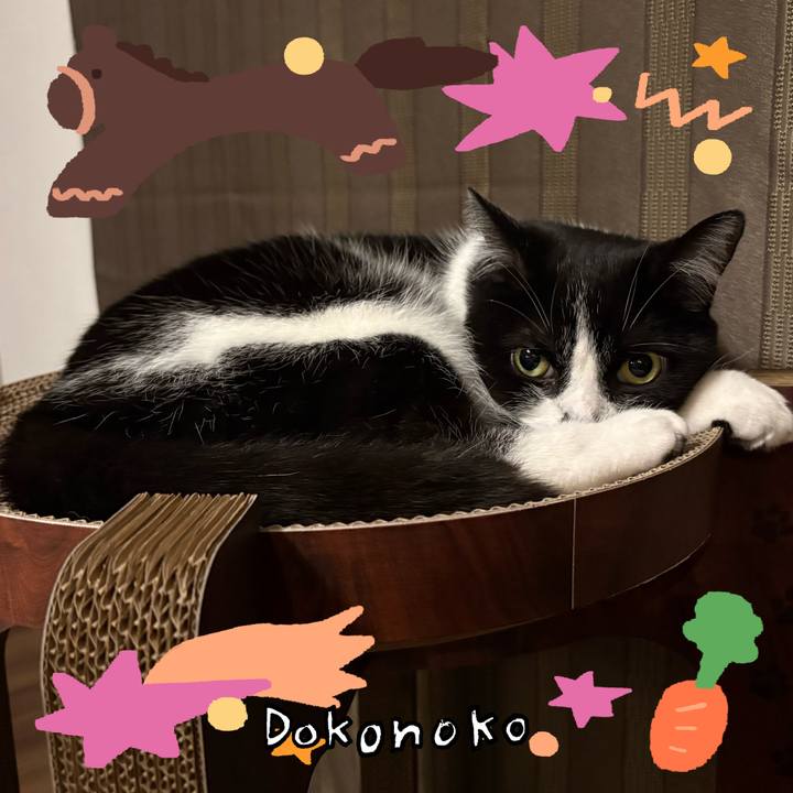 8ca9ba7a a882 40c1 8199 ffa743fa540a 1772019848282