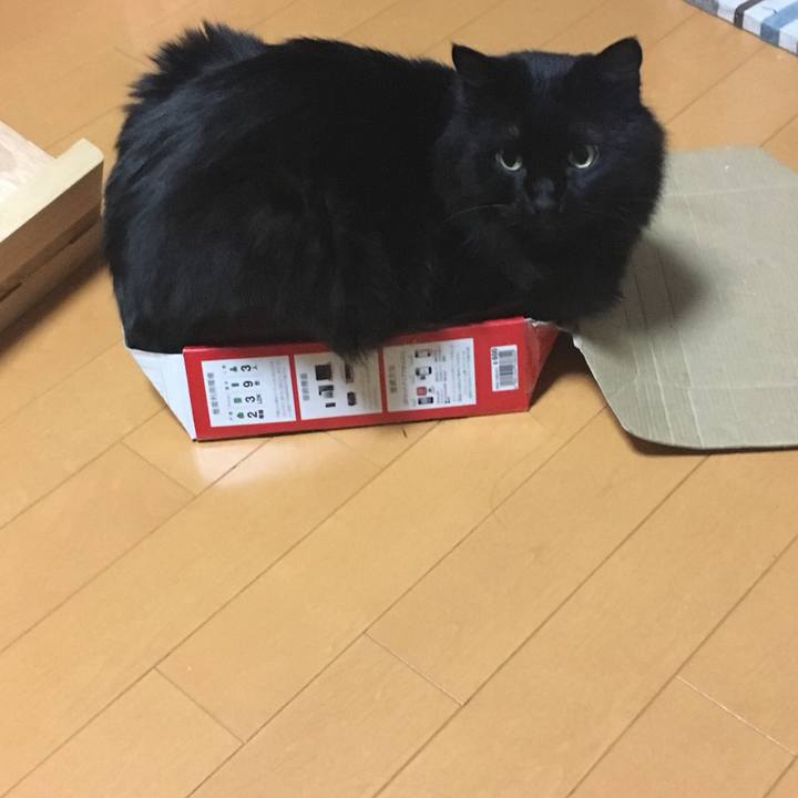 8ca9c7a5 868d 425c bf32 6f45c80badc2 1532012374242