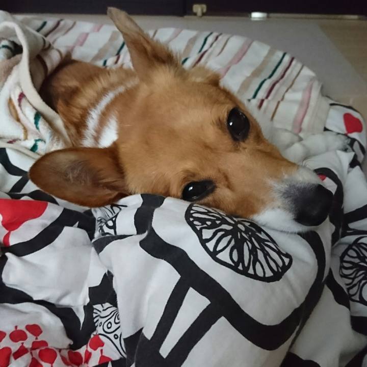 8ca9c7a8 fa2c 4e65 bd10 6cffb8c77736 1519513748956