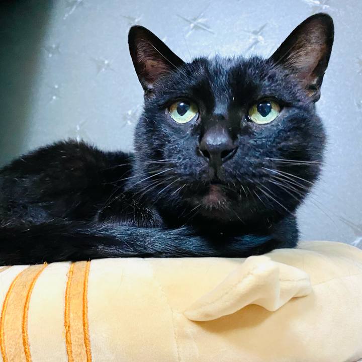 8ca9fa45 1158 4578 80fe 0bbbafc34d3f 1681598880570