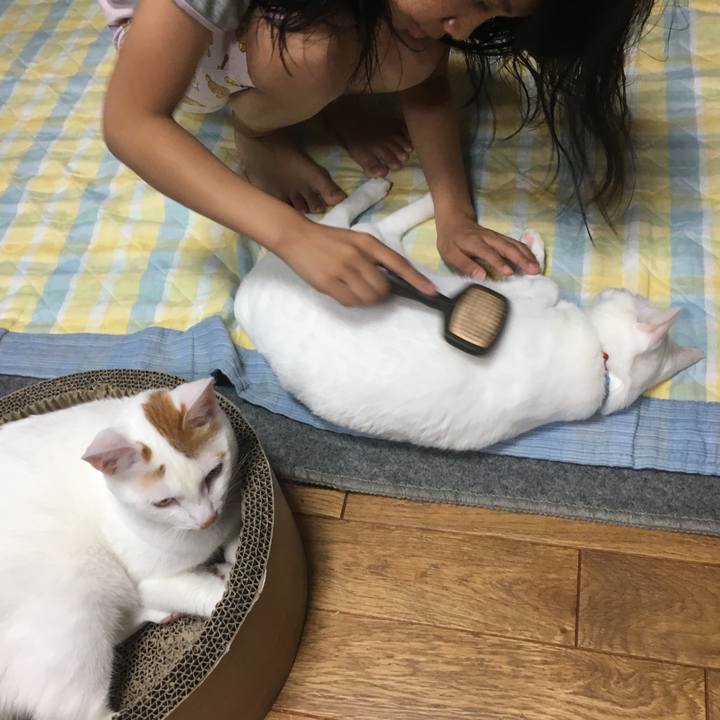 8caa221f 0247 4d09 8bf0 ab9b72a37014 1528548449539