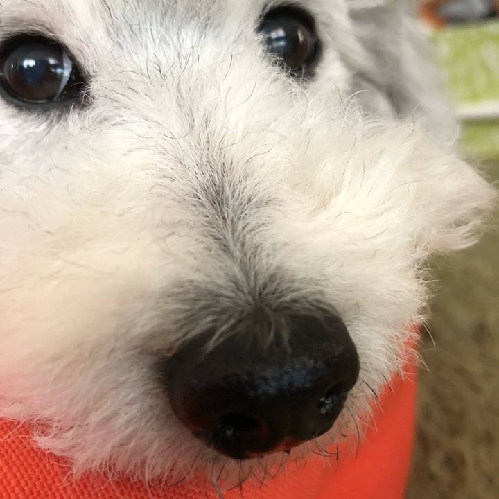 8caa4100 da14 40d0 adf6 1aa00f270adb 1524696989770