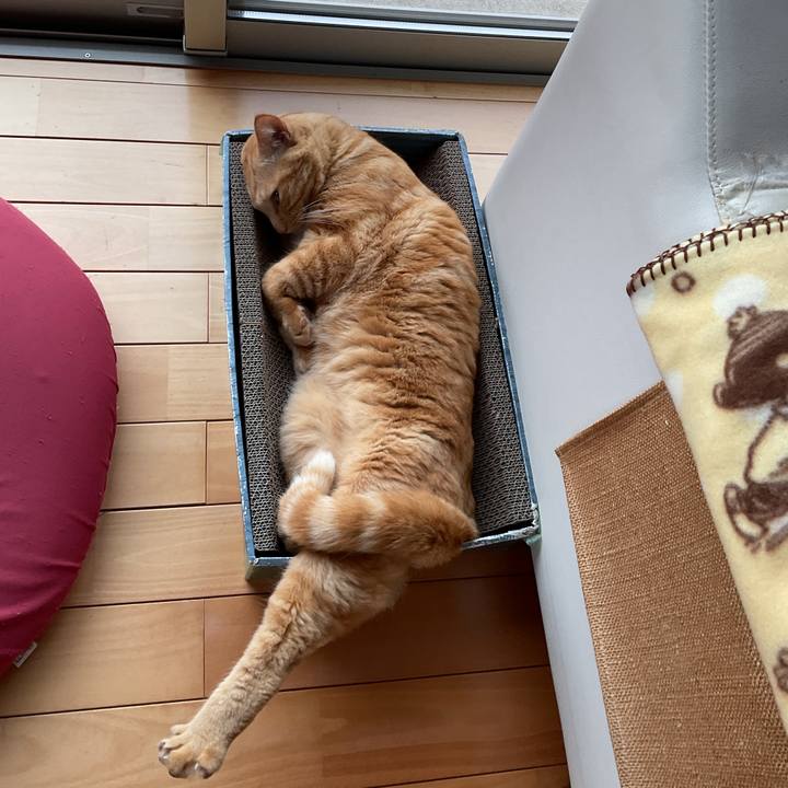 8caa4498 523e 467c b886 c0849b4799de 1764747160403