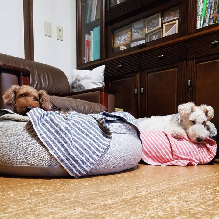 8caa61e5 6a15 4cc4 970d a09b96792306 1566379091691