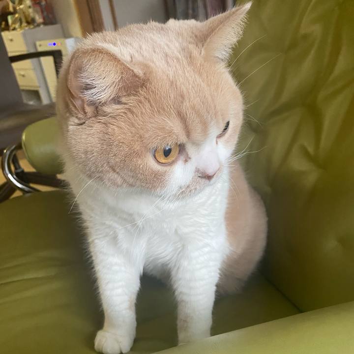 8caa8a15 492d 453b 9dd4 34aa97aeced3 1674546951694