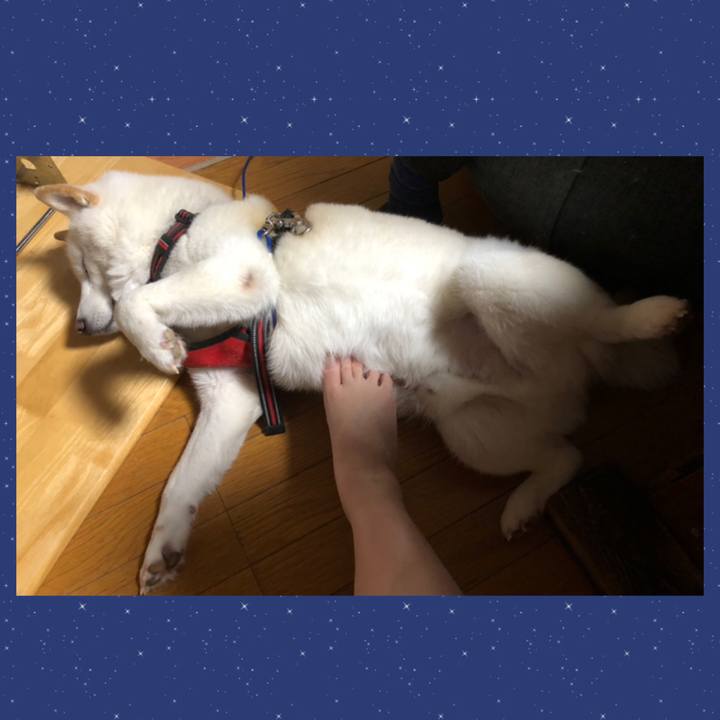 8caa99d8 0e13 4ffa 9967 21322e14e08c 1642629064803