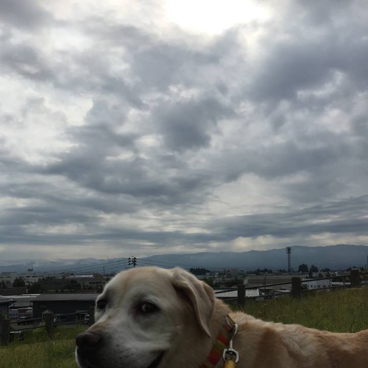 8caaafd7 7250 444b acea d5cdd2510675 1534126096992