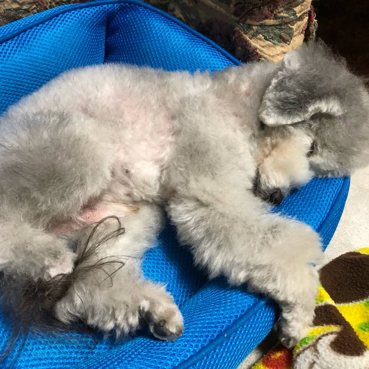 8caab4bb d624 404f 9915 97dfc10691d9 1543446689996