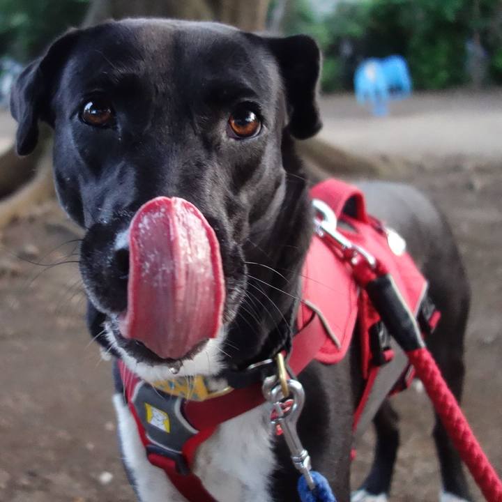 8caaec19 a33a 4f26 9919 84a77d77f450 1591575407280