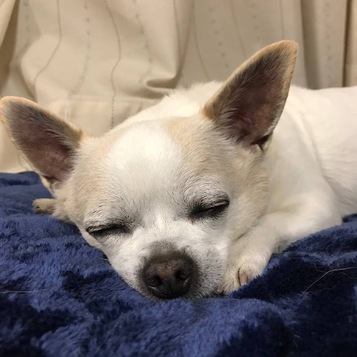 8cab1f36 ed5d 4e06 a7de 65cb144a01b9 1523968428631