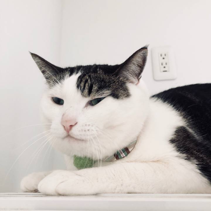 8cab3ced d165 4a45 b0e9 6e3667c98ffe 1532476505701