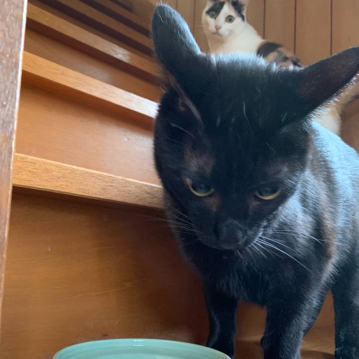 8cab6bbd bb9e 4828 86ba 80d3ebe24cb3 1561593530637