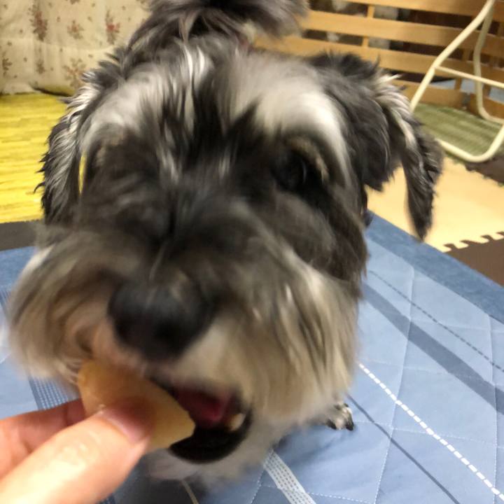 8cab9d05 3dbd 4e03 9133 7bf758b16137 1690984581551