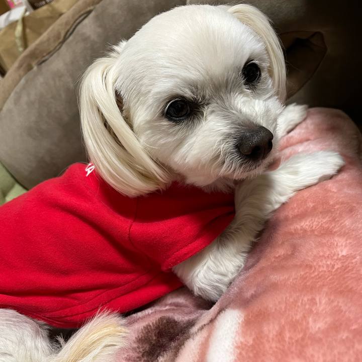 8cab9fb9 4ac6 4580 bb3f 8ff26cc6f9ec 1680268667373