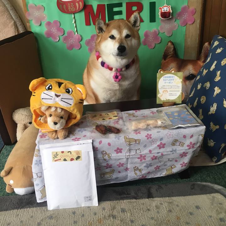 8cabb0aa fbea 4979 a6a0 05e96f553d7a 1647143528293