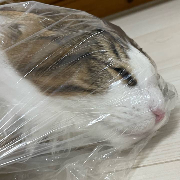 8cabb916 642a 4670 afd5 2087744cffbd 1641246127856