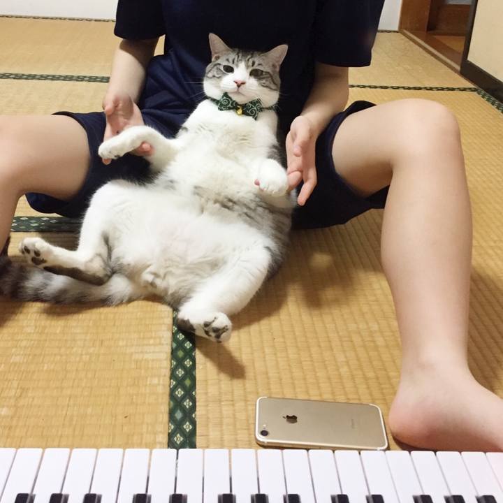 8cac0ec9 6115 4a3f 9ab3 d5fa0313b2d9 1528469806757