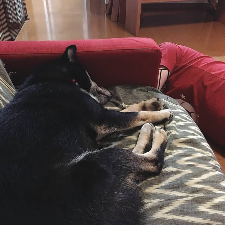 8cac3938 3b2e 4642 aeb1 656c171b99e9 1536674786532