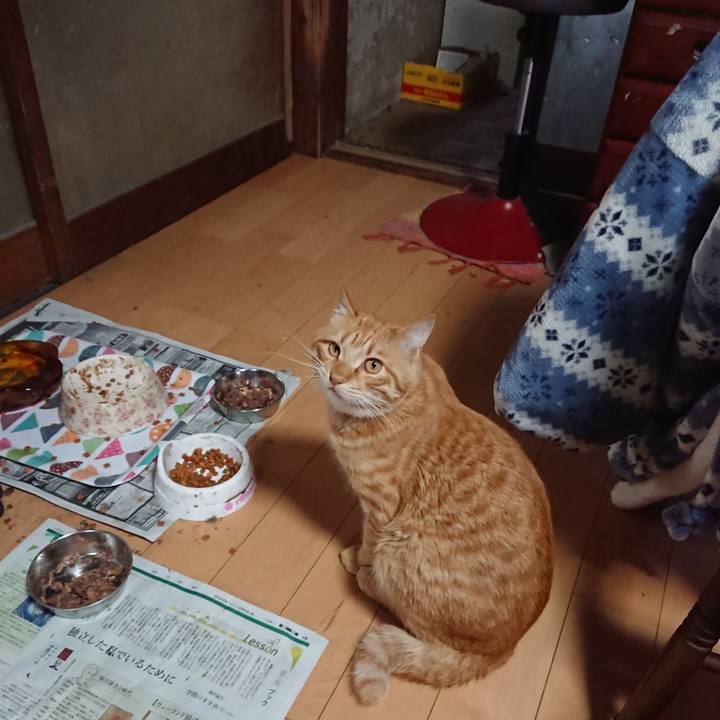 8cac3ec2 179f 436f bedd 0b1791fe15fc 1652305765922