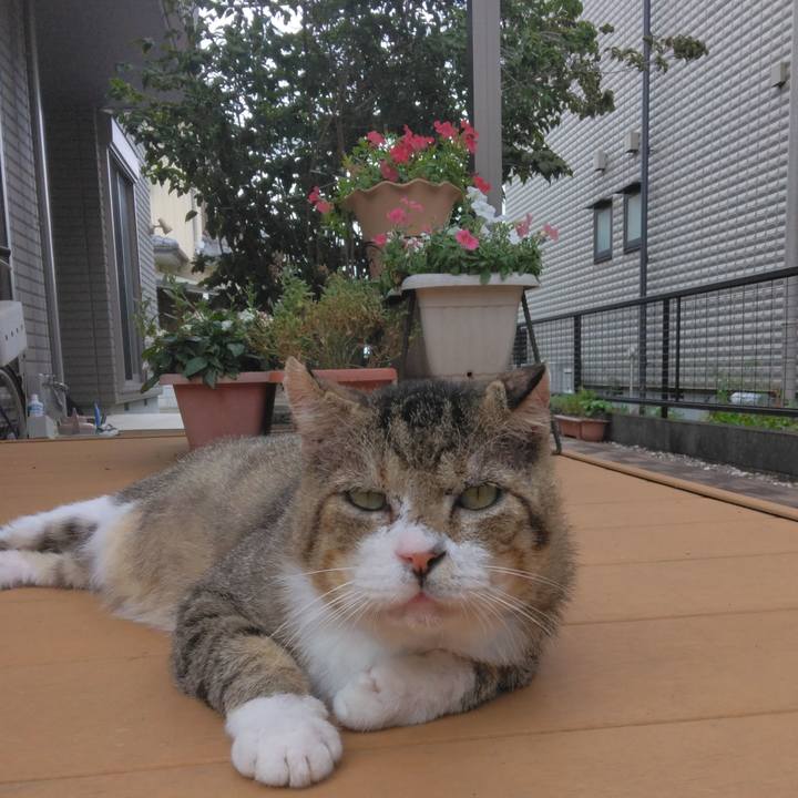 8cac5d07 af64 47cc b26d fd921e009844 1758427817052