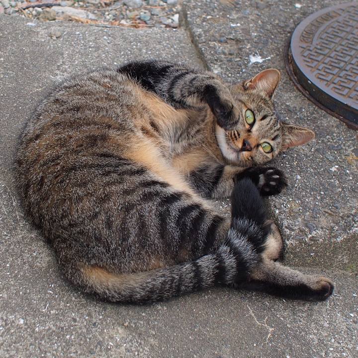 8cac8544 7ca0 430d 8c34 f3a1767e3753 1534029836213