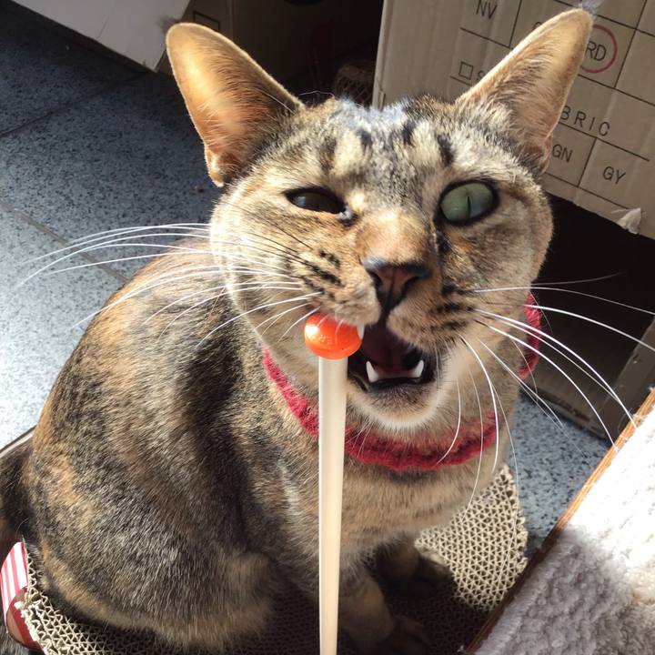 8cacb07e 04cf 4840 bb1d 8297fce01178 1611112717354