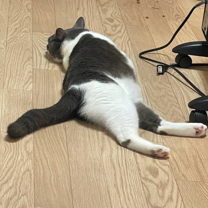 8cacc189 1a2c 47e7 9af0 516ea688e5d8 1626496699271