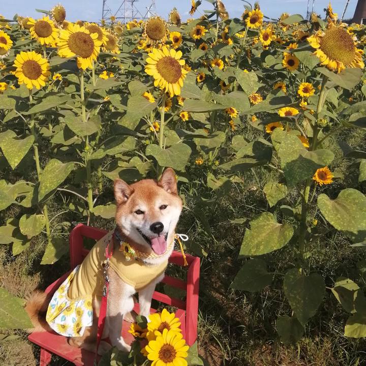 8cad28f2 9406 45f9 b248 1892d238dc5f 1689865476057