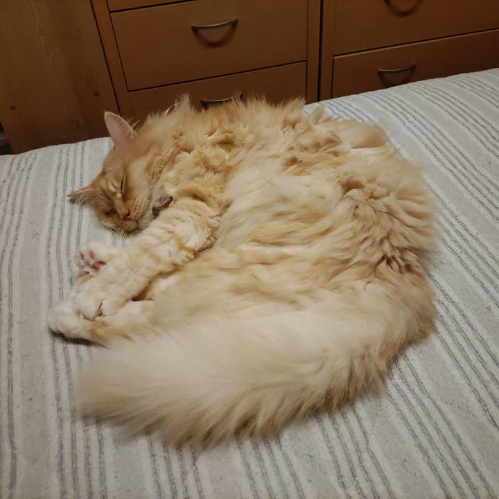 8cad36a7 3c5c 46bf 8145 9d3c41362590 1721562124000