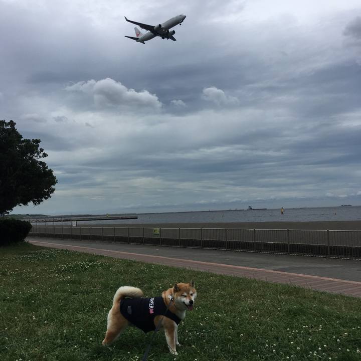 8cad40eb 4091 4c84 bce7 7b7c28ae31aa 1561625747053