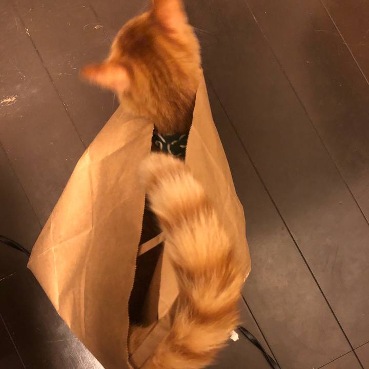 8cad7c5e 129c 46eb 9d65 be822216edcb 1637661645473