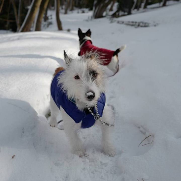 8cad8823 8db5 42d9 995d 9a528803a01e 1754209198595