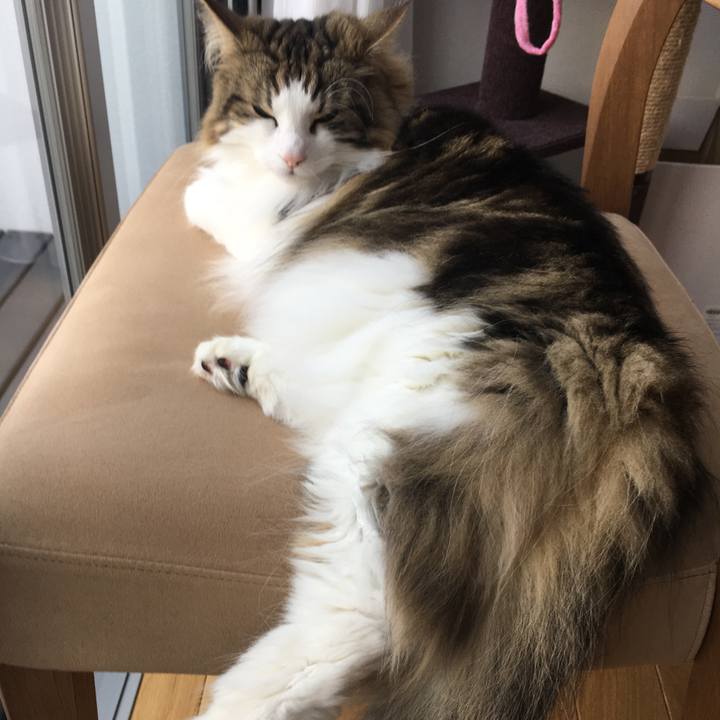 8cae7372 2dea 4dae b3c1 9db3accffa55 1528414705843